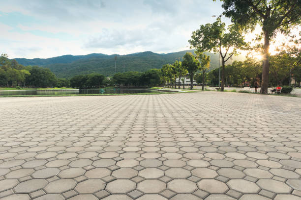 Best Decorative Driveway Pavers  in Chlicothe, IL